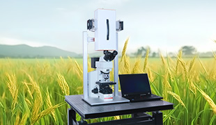 基于微高光谱和微流控技术的水稻真菌孢子检测